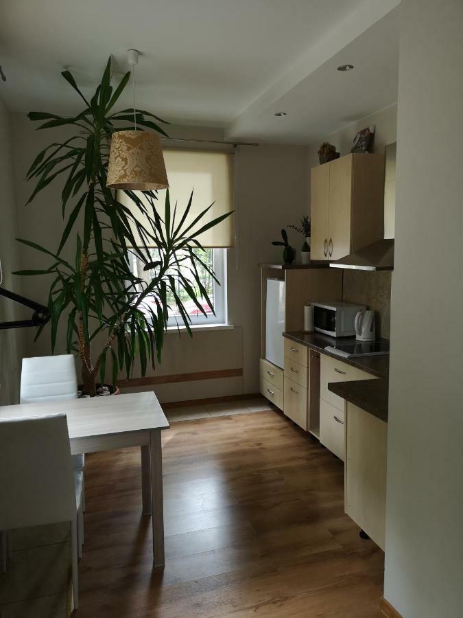 Appartement Jaukus Butas Siauliu Miesto Centre à Šiauliai Extérieur photo