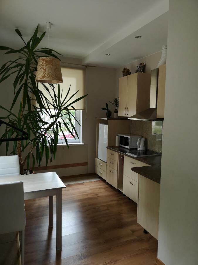 Appartement Jaukus Butas Siauliu Miesto Centre à Šiauliai Extérieur photo